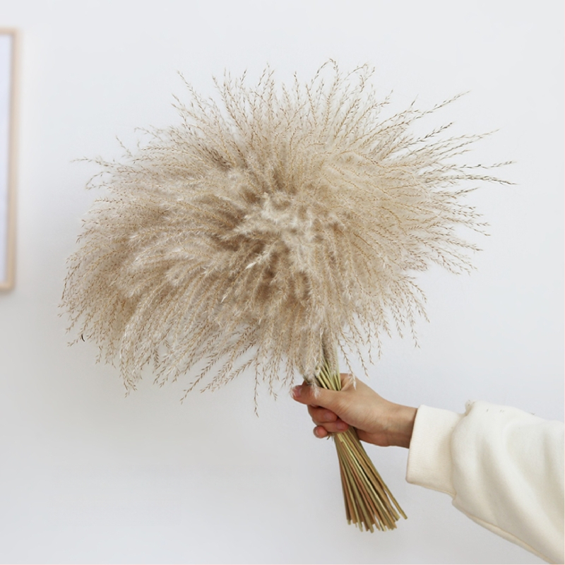 Kuivade lillede kimp, Wabi-Sabi stiil, Forget-me-not sortiment, värvimata, pakendatud Opp kotis