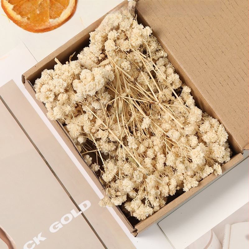 Lill – Starry Sky kuivatatud gypsophila, värvitud, DIY lillekimp komplekt karbis