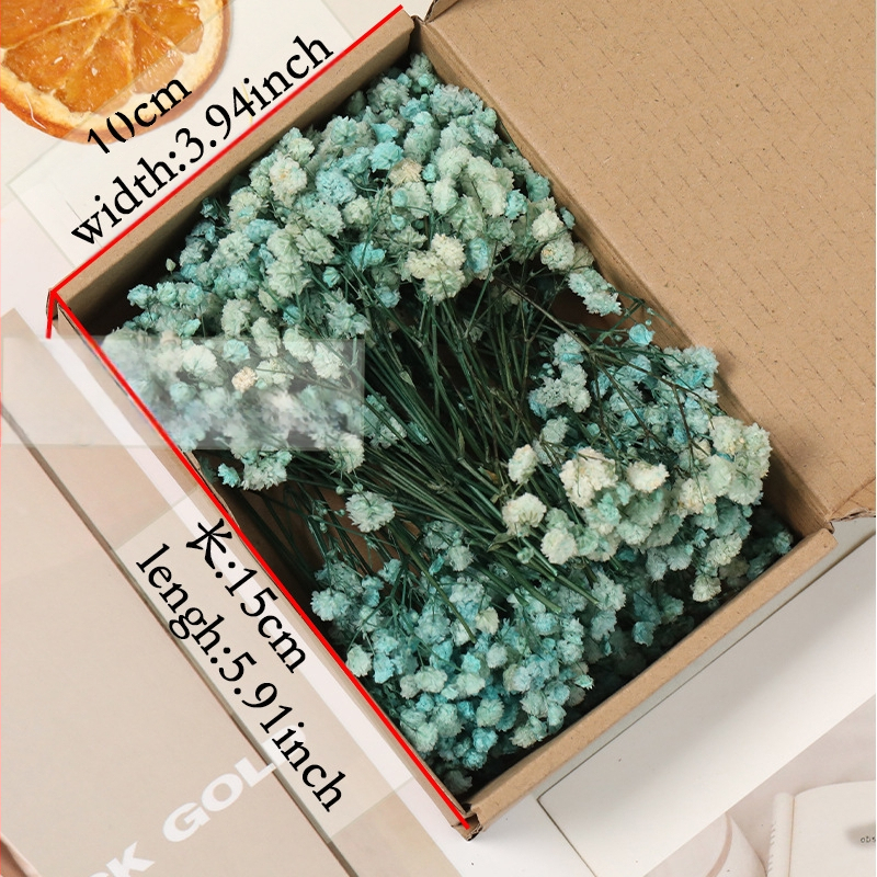 Lill – Starry Sky kuivatatud gypsophila, värvitud, DIY lillekimp komplekt karbis