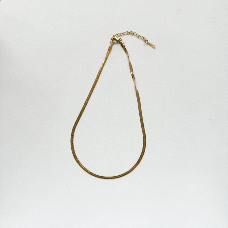 Titāna tērauda kaklarota, asmens ķēde, ar 18K zelta pārklājumu