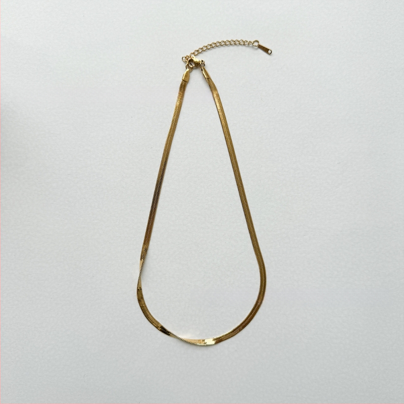 Titāna tērauda kaklarota, asmens ķēde, ar 18K zelta pārklājumu