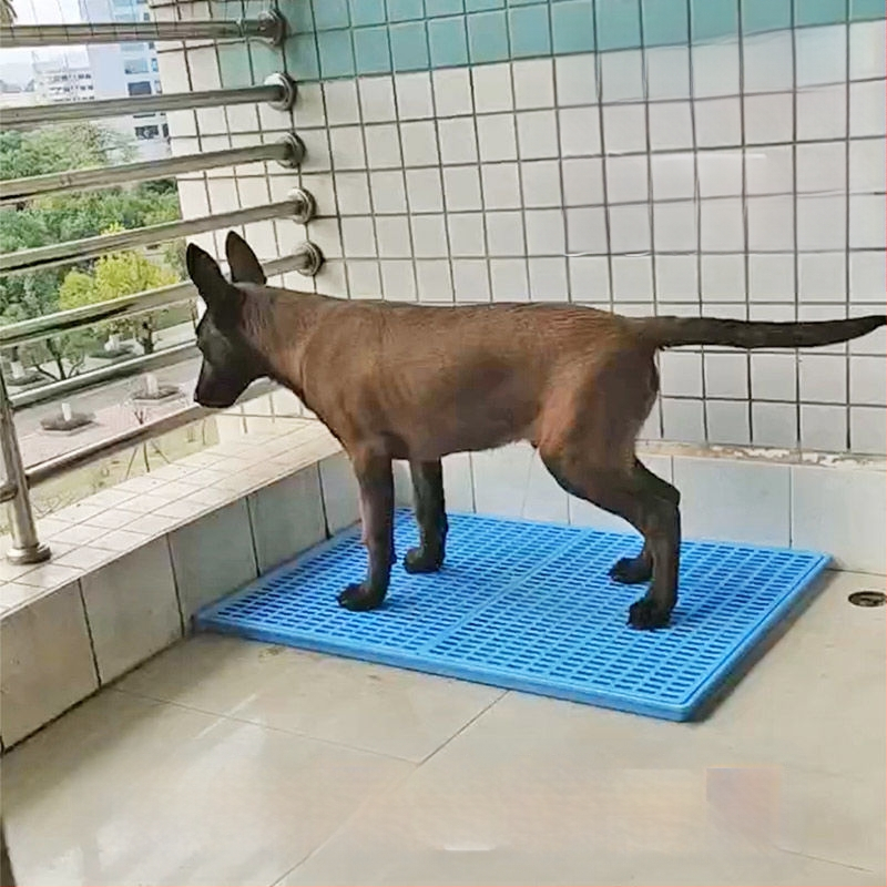 Suņa tualetes apmācības paklājs – ABS plastmasa, kaķu smilšu kontroles paklājs