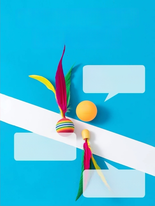 Raketa za stolni tenis, marka Xili, donja ploča od topole, vodoravni udarac, mogućnost tiskanja logotipa, prilagodba dostupna