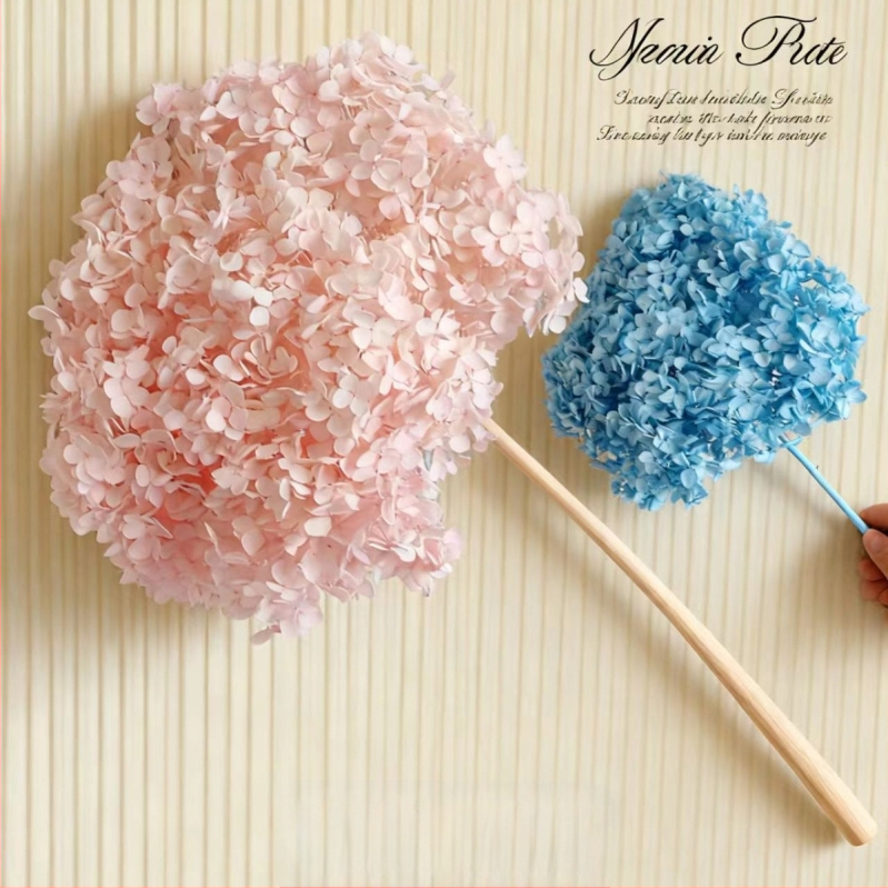 Anna hortenzija — sačuvano cvijeće, ručno izrađene dekoracije za dom i vjenčanja; Marka: Everlasting Anna Hydrangea; Materijal: sačuvano cvijeće; Sorte: Anna