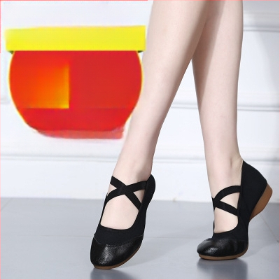 Pantofi de dans pentru square dance, femei – talpă moale, vamp din pânză, antiderapant, toate sezoanele, pentru adulți