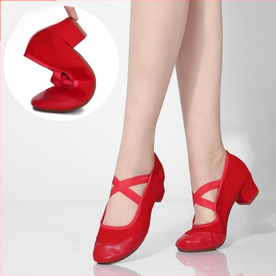 Pantofi de dans pentru square dance, femei – talpă moale, vamp din pânză, antiderapant, toate sezoanele, pentru adulți