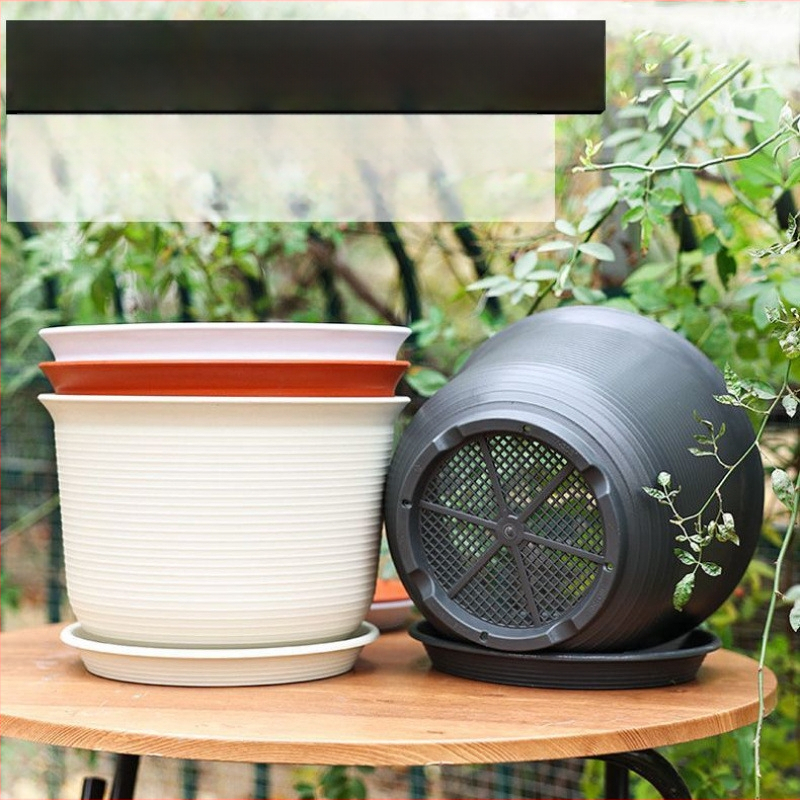 Šaknų kontrolei skirtas gėlių vazonas, kvėpuojanti keramika, pastatomas ant grindų, paprastas stilius