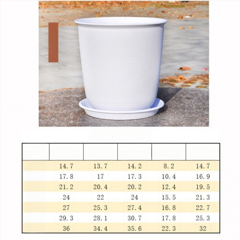 Šaknų kontrolei skirtas gėlių vazonas, kvėpuojanti keramika, pastatomas ant grindų, paprastas stilius
