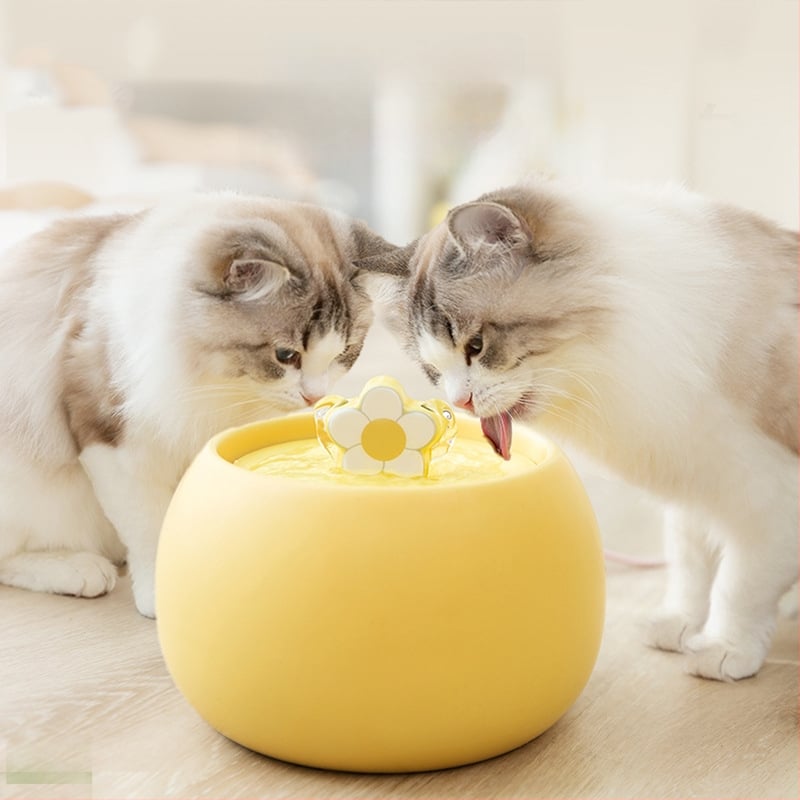 Sour Bear keramikas automātiskais ūdens dozētājs kaķiem, izcelsme Jiangsu