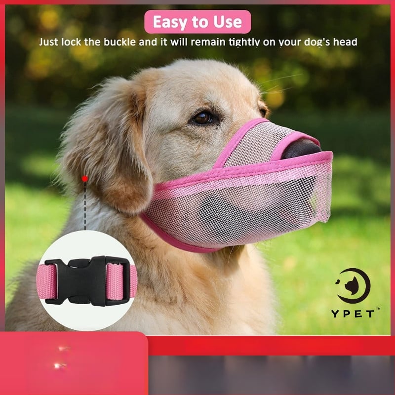 Suņa muzzlis, lai novērstu ēšanu un lizāšanu, dizains pret riešanu un matu izkrišanu, materiāls: zīda ziedu audums, bez importa, IP nav pilnvarots