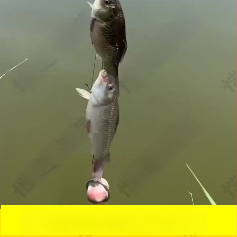 Air Force Star Pradedantiesiems žvejybos rinkinyss su plonu tinkliniu dėklu ir kabliukų komplektu (SKU Pfujvz3nAMP+RAarJgjBw8e9c3s; Tarptautinis eksportas: Taip; Pagrindinis rinka: Pietryčių Azija)