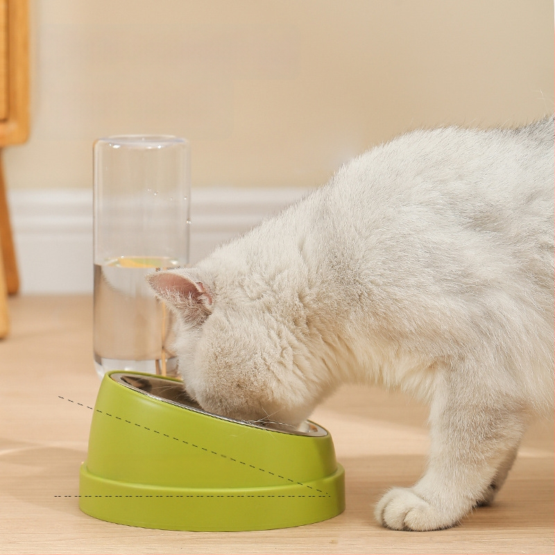 Σετ μπολ φαγητού γάτας με διπλά μπολ, πλαστικό + ανοξείδωτο ατσάλι, αυτόματη τροφοδοσία, εξοπλισμός κατοικίδιων