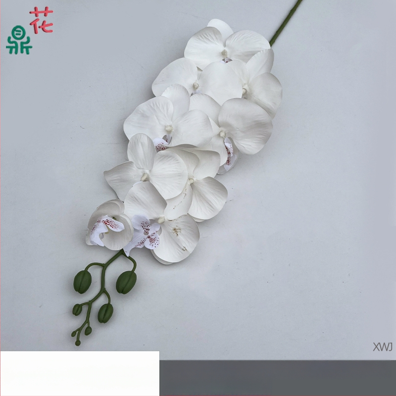 Šilkinė Phalaenopsis orchidėja — 3D studijos fotografavimo rekvizitai, stilizavimas ir reljefinė apdaila, namų dekoras