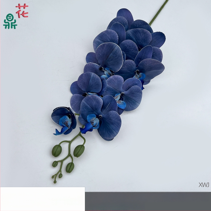 Šilkinė Phalaenopsis orchidėja — 3D studijos fotografavimo rekvizitai, stilizavimas ir reljefinė apdaila, namų dekoras