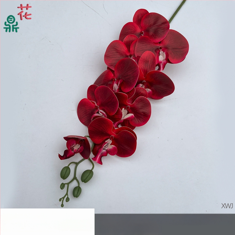 Šilkinė Phalaenopsis orchidėja — 3D studijos fotografavimo rekvizitai, stilizavimas ir reljefinė apdaila, namų dekoras