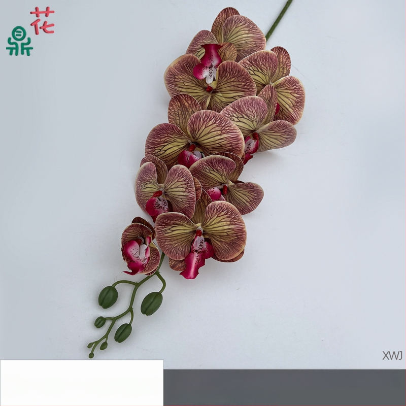 Šilkinė Phalaenopsis orchidėja — 3D studijos fotografavimo rekvizitai, stilizavimas ir reljefinė apdaila, namų dekoras