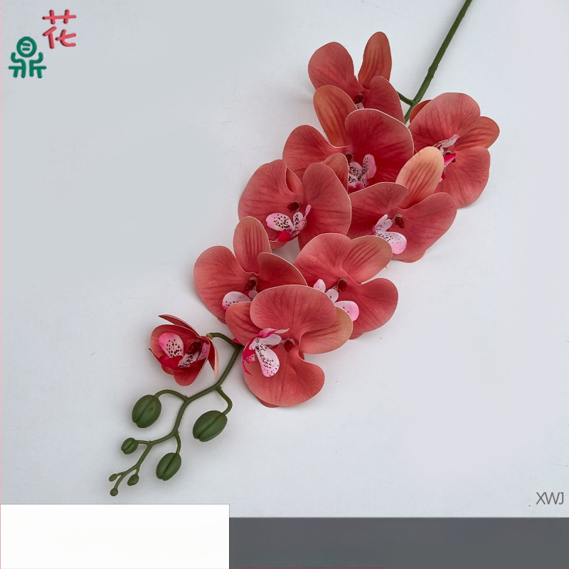 Šilkinė Phalaenopsis orchidėja — 3D studijos fotografavimo rekvizitai, stilizavimas ir reljefinė apdaila, namų dekoras