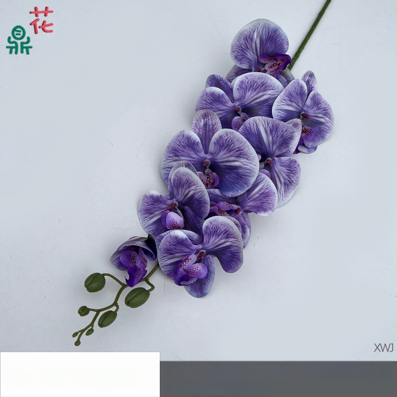 Šilkinė Phalaenopsis orchidėja — 3D studijos fotografavimo rekvizitai, stilizavimas ir reljefinė apdaila, namų dekoras