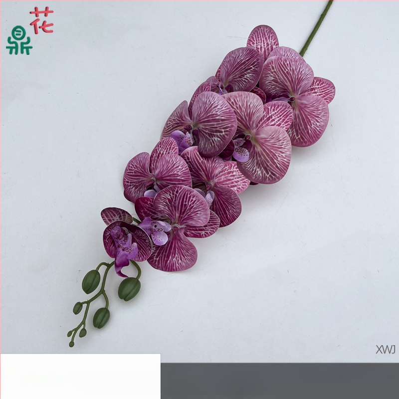 Šilkinė Phalaenopsis orchidėja — 3D studijos fotografavimo rekvizitai, stilizavimas ir reljefinė apdaila, namų dekoras