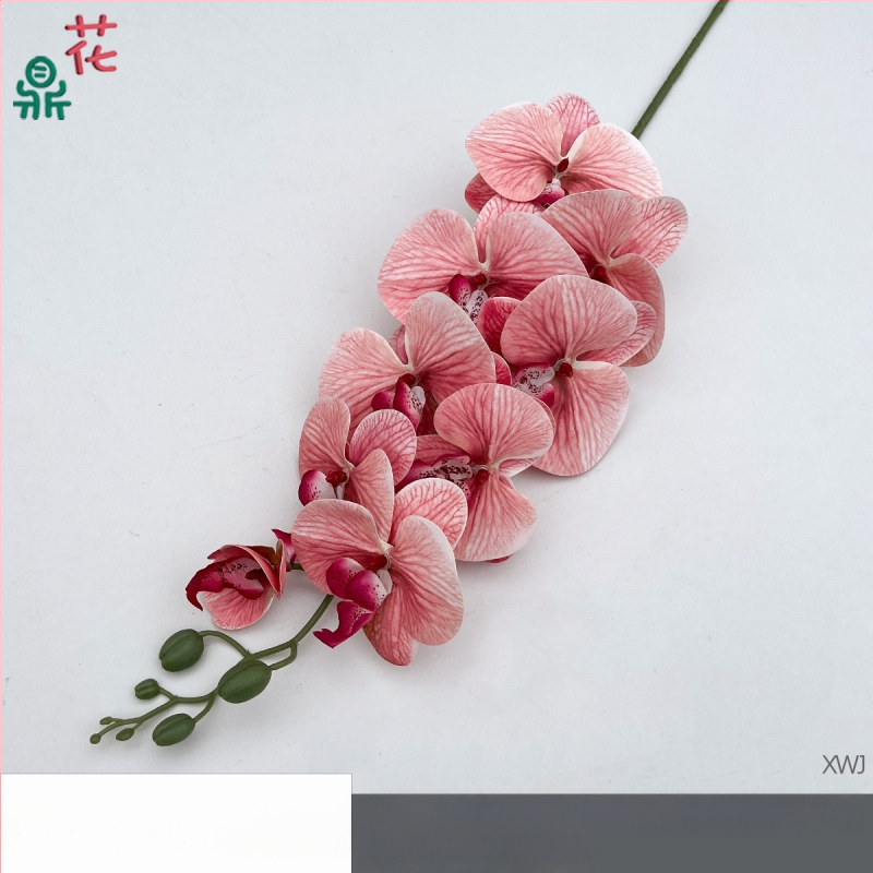 Šilkinė Phalaenopsis orchidėja — 3D studijos fotografavimo rekvizitai, stilizavimas ir reljefinė apdaila, namų dekoras