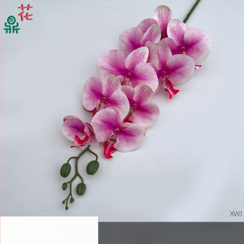 Šilkinė Phalaenopsis orchidėja — 3D studijos fotografavimo rekvizitai, stilizavimas ir reljefinė apdaila, namų dekoras