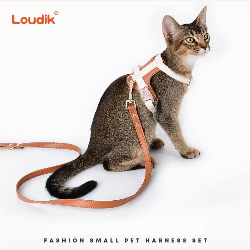 Комплект за кучета и котки: регулируем нашийник и каишка, Cortex материя, Leisure стил, универсално предназначение, за всички сезони