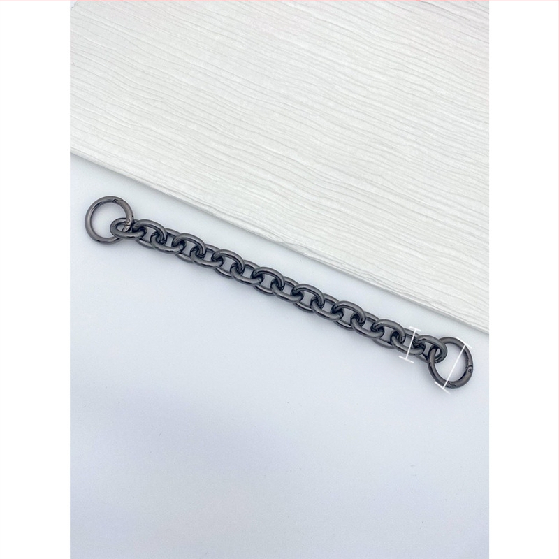 Ιμάντας ώμου με επέκταση αλυσίδας για Longchamp Hobo – μεταλλικός ιμάντας Dingzhen, αστικός μινιμαλισμός, Καλοκαίρι 2024