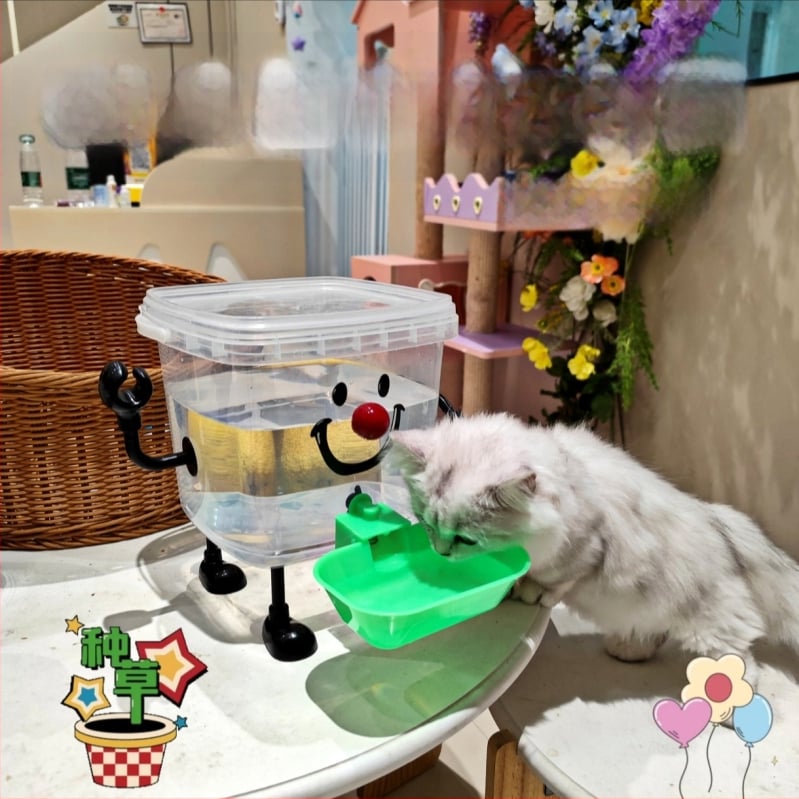Αυτόματος διανομέας νερού για γάτες, πλαστικό, αυτόματη τροφοδοσία: Ναι, για γάτες, μη έξυπνο, συσκευασία 10 τεμάχια