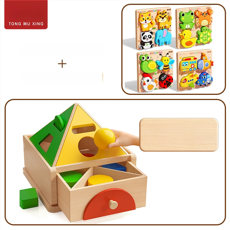 Montessori puidust mänguasi värvi- ja kujutunnustuse jaoks – ehitusklotsid varaseks õppimiseks, 0-3 aastat