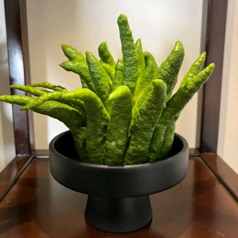 Δίσκος φρούτων με μεταξένια λουλούδια, γενικό μινιμαλιστικό στυλ, προϊόν πρώτης κατηγορίας