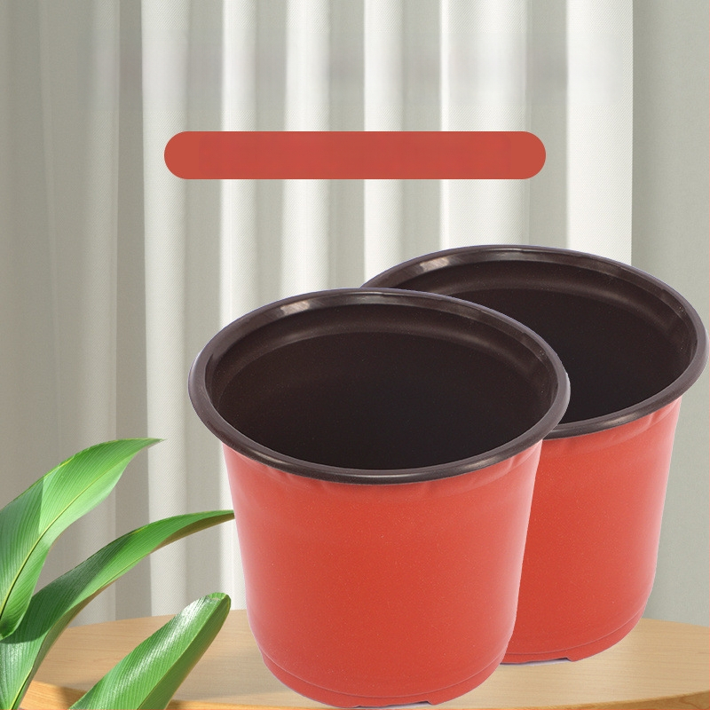 Container de control al rădăcinilor pentru răsaduri, utilizare pe birou, stil simplu, material: altul