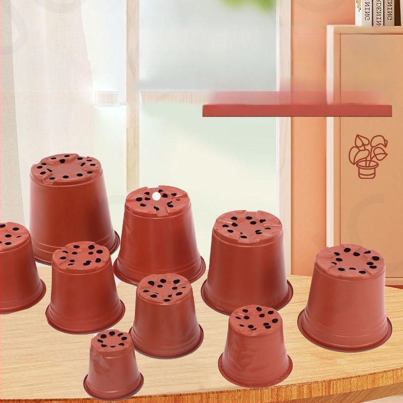 Container de control al rădăcinilor pentru răsaduri, utilizare pe birou, stil simplu, material: altul