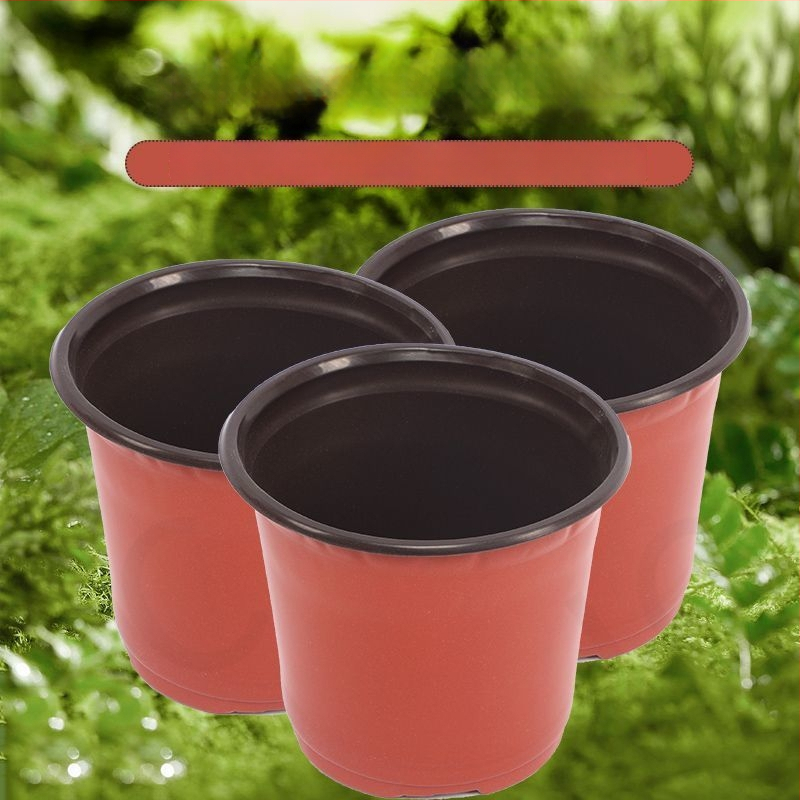 Container de control al rădăcinilor pentru răsaduri, utilizare pe birou, stil simplu, material: altul