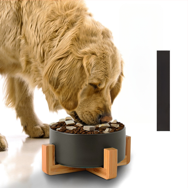 Μπολ γάτας κεραμικό, για σίτιση και πόση; Αξεσουάρ κατοικίδιων ζώων; Προέλευση: Άλλο; Κατηγορία: εξοπλισμός τροφίμων κατοικίδιων