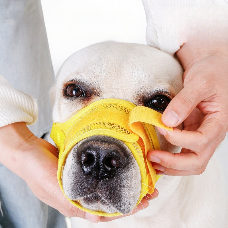 Petleha elpojošs suņa mute aizsargs, poliesteris, anti-košana