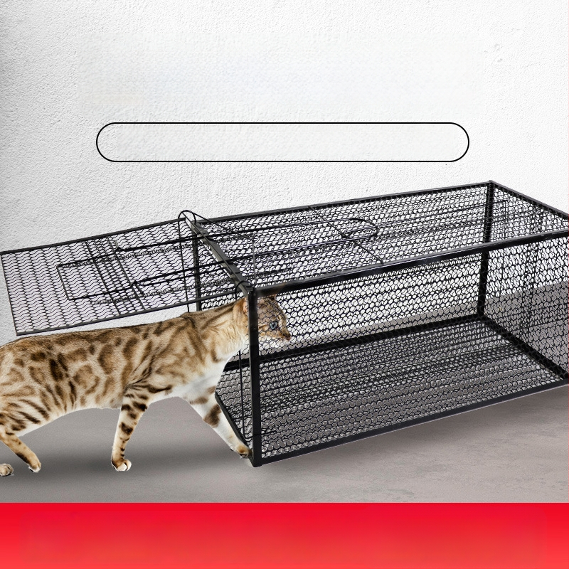 Visiškai automatinis katės gaudymo narvas, metalinė konstrukcija, tinkamas katėms, naminių gyvūnų narvai