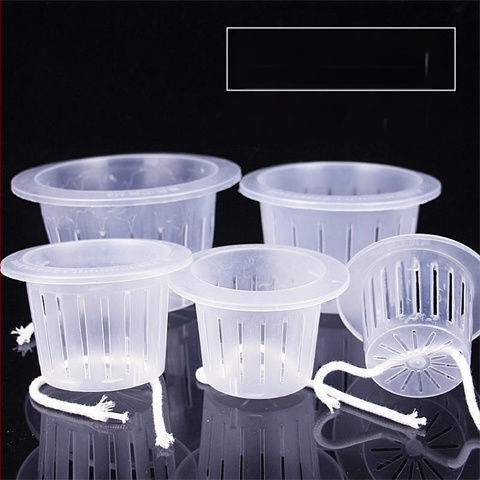 Trīsdaļīgs hidroponikas stikla vāzes komplekts ar sakņu grozu un ūdens trauku