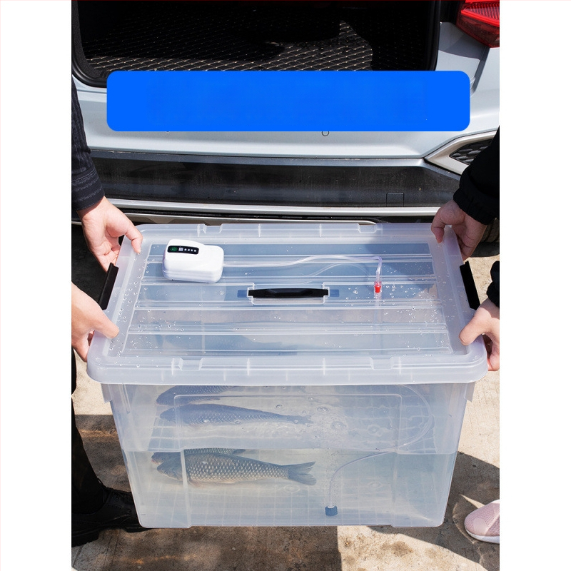 Dzīvām zivīm paredzētais konteineris automašīnas bagāžniekam — plastmasas akvārija kārba zivju audzēšanai un jūras velšu uzglabāšanai