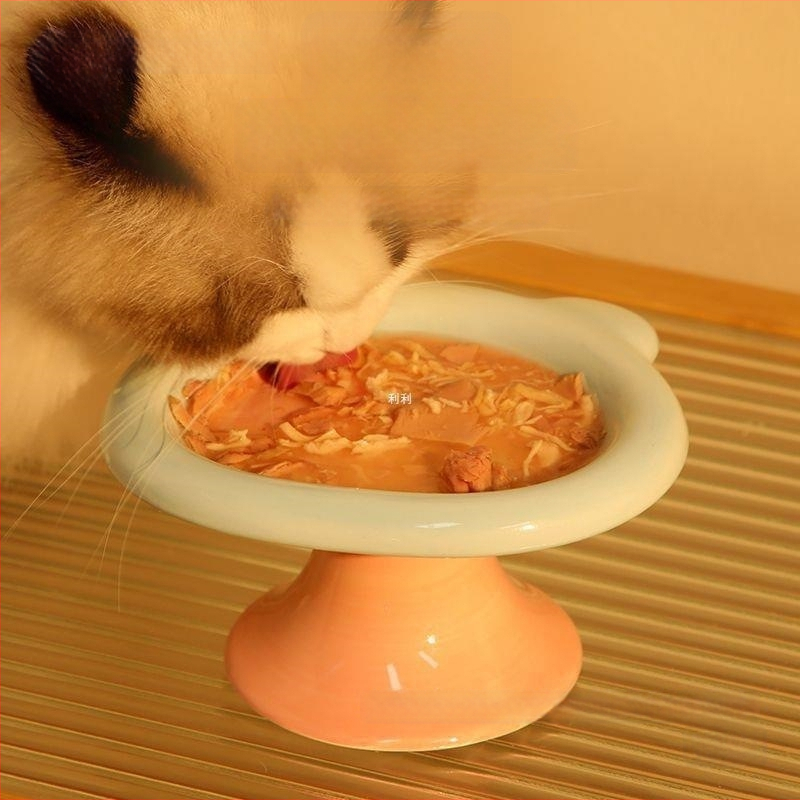 Kačių dubuo, keramikinis, prekės ženklas Sheng bangrong, skirtas katėms, maisto dubuo naminiams gyvūnėliams