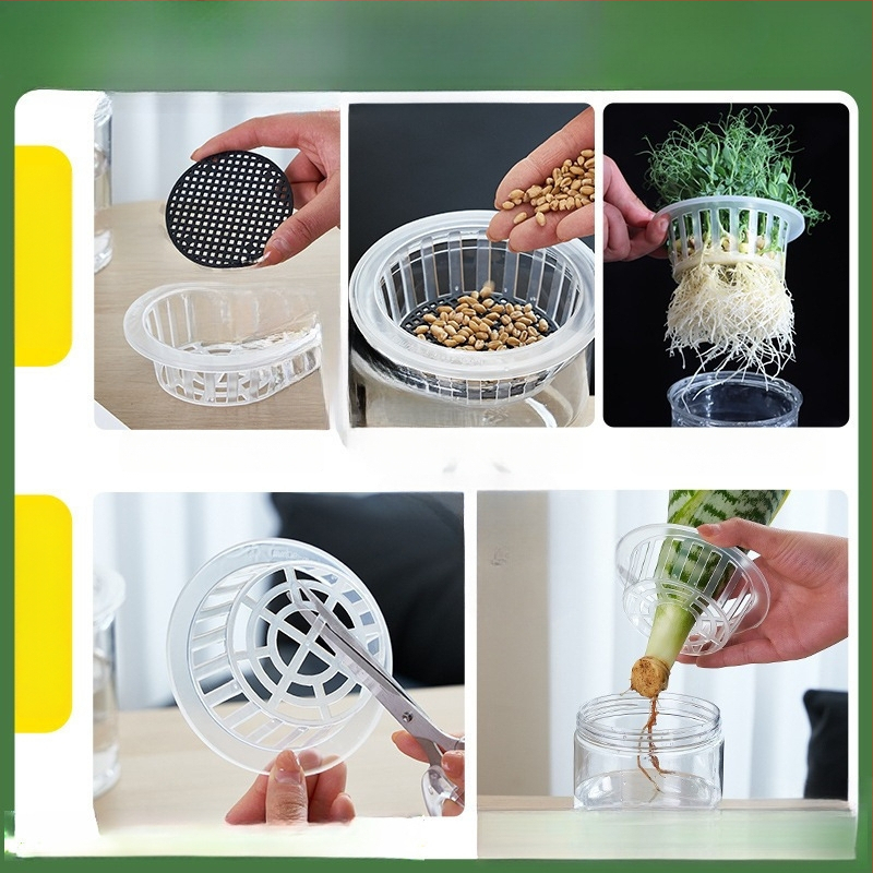 Caurspīdīgs plastmasas cilindrisks hydroponiskais pods sēklām un maziem augiem, stāvošs uz grīdas ar stādīšanas grozu, domāts mājas un dārza lietošanai