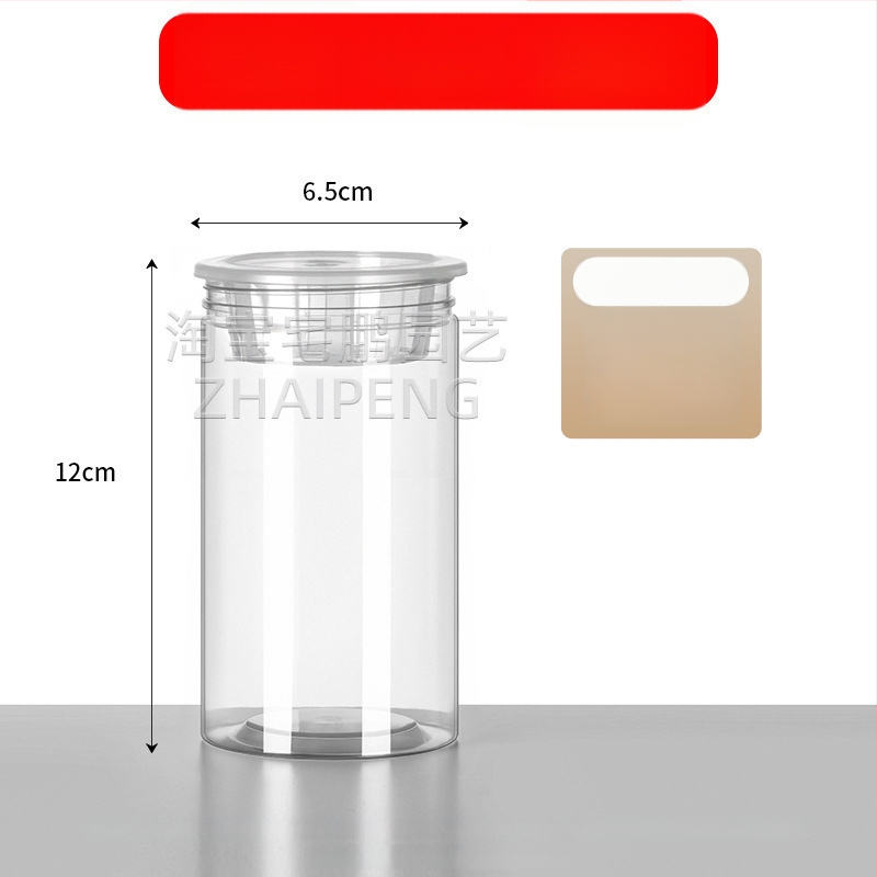 Caurspīdīgs plastmasas cilindrisks hydroponiskais pods sēklām un maziem augiem, stāvošs uz grīdas ar stādīšanas grozu, domāts mājas un dārza lietošanai