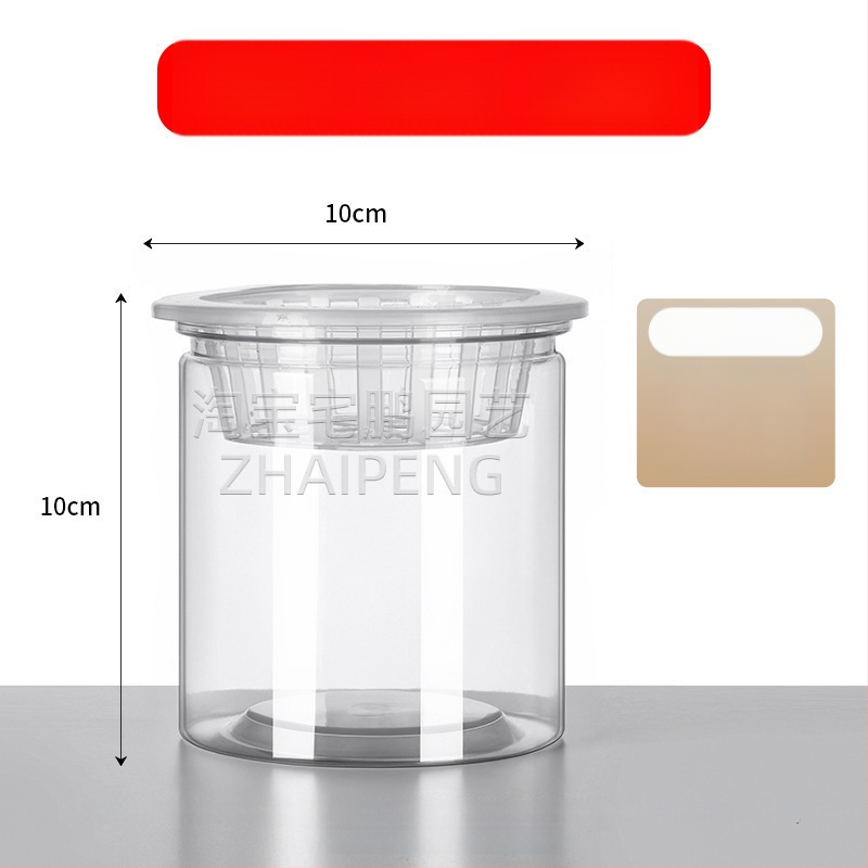 Caurspīdīgs plastmasas cilindrisks hydroponiskais pods sēklām un maziem augiem, stāvošs uz grīdas ar stādīšanas grozu, domāts mājas un dārza lietošanai