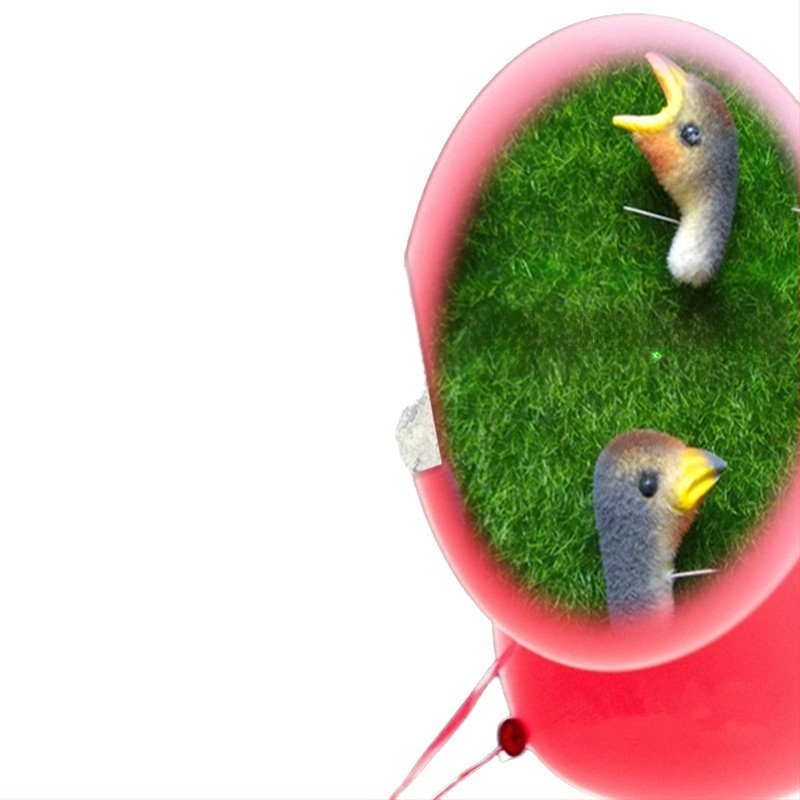 Sieninis dekoras su paukščio lizdu iš putplasčio, Viduržemio jūros stilius, namų puošmena, pritaikoma užsakymui