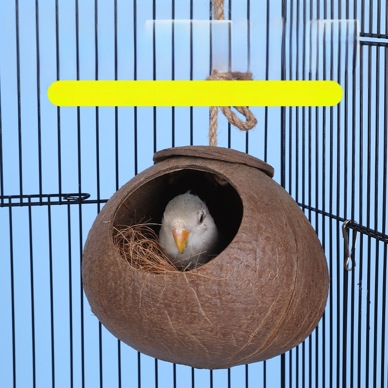 Kokoso lukšto paukščių lizdas papūgai su tigrinės odos motyvu ir mistiniu fenikso ornamentu – pyninėta šilta lizda