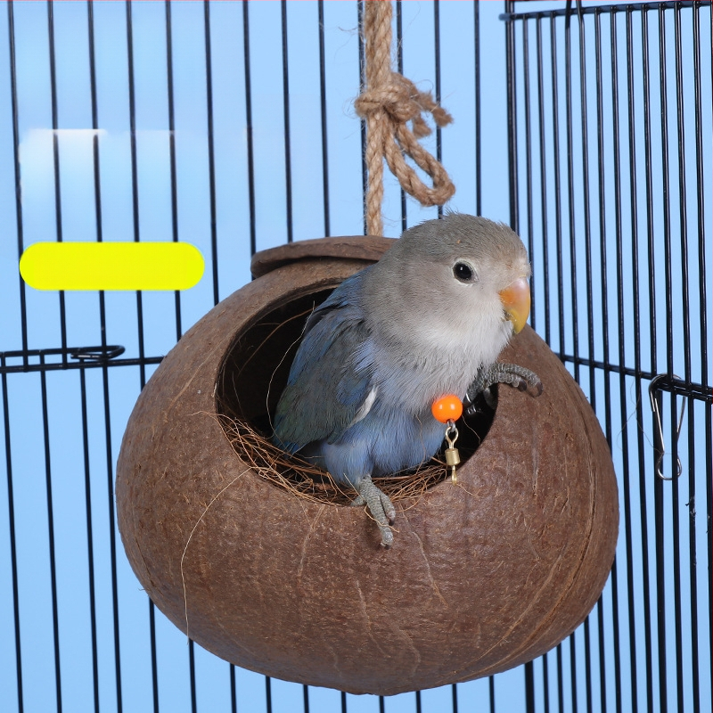 Kokoso lukšto paukščių lizdas papūgai su tigrinės odos motyvu ir mistiniu fenikso ornamentu – pyninėta šilta lizda