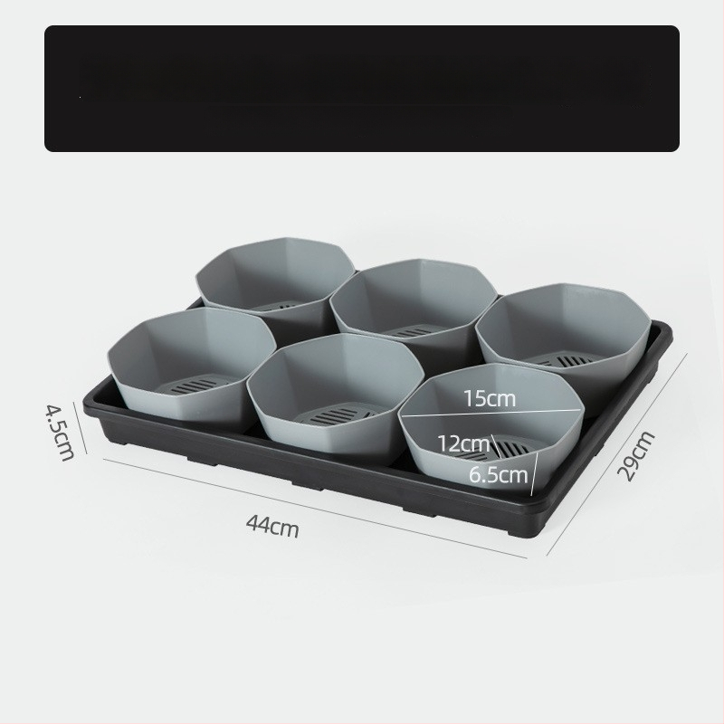 Stādīšanas palete ar turētāju, elpojoša, izturīga, no injekcijas liešanas plastmasas, ar 8/12/20/24 caurumiem