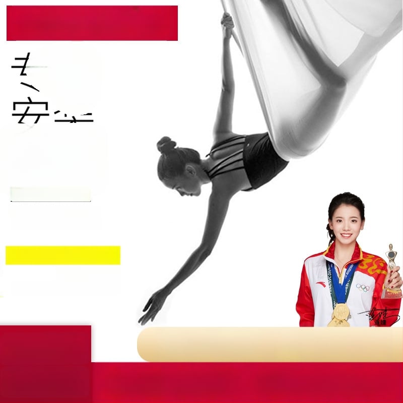 Slang Shield ore jogos hamaka su tempimo diržu ir mikroelastine virvė namų jogos studijai