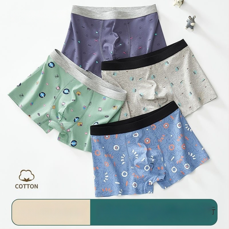 Vyriskos boxer trumpikes, medvilnės mišinio audinys, vidutinio juosmens aukštis, be siūlių, greitai džiūva, kvėpuojančios, stilius C tipo / nematomas