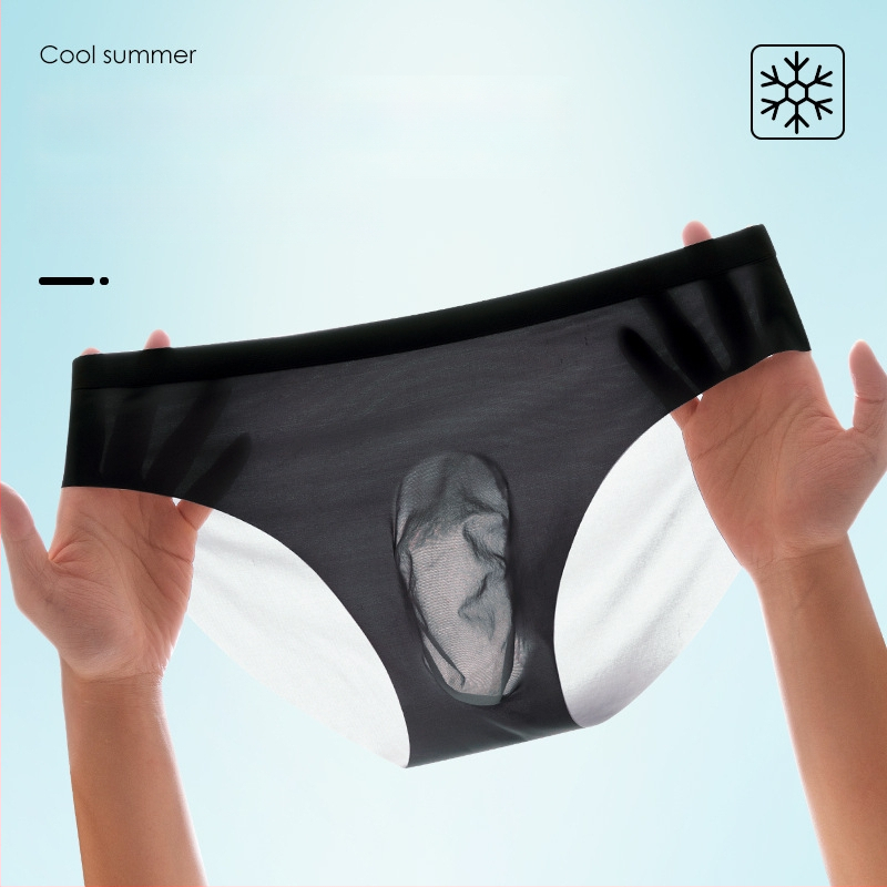 Muške Ice Silk gaćice, prozračne, brzo-sušeće, pleteni najlon, srednji pojas