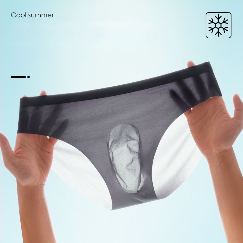 Muške Ice Silk gaćice, prozračne, brzo-sušeće, pleteni najlon, srednji pojas